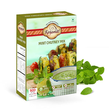Mint Chutney Mix
